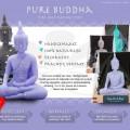 purebuddha