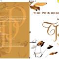 The Princess Project, cd dvd artwork, presentatiemateriaal